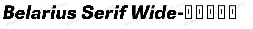 Belarius Serif Wide字体转换